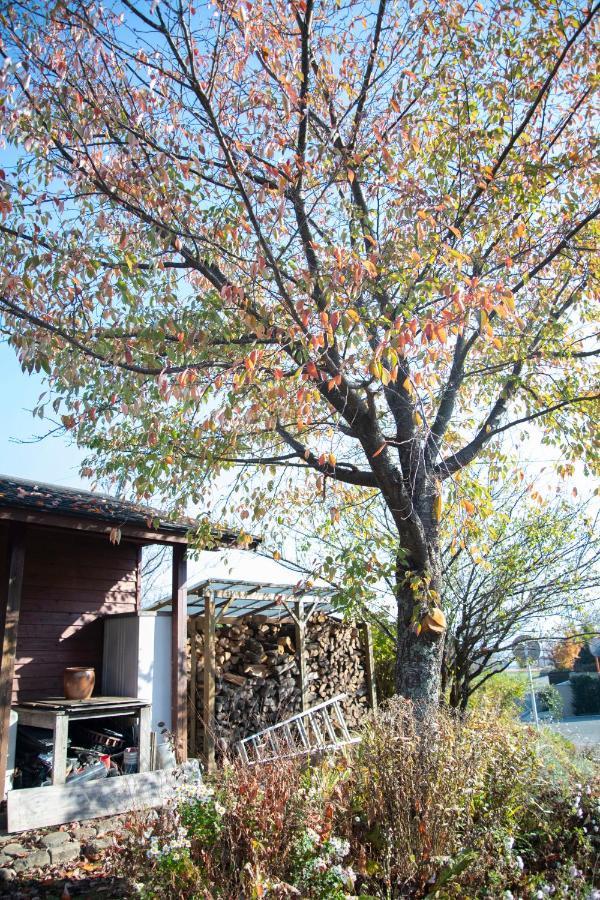 Soil Villa Minami Aszo Kültér fotó